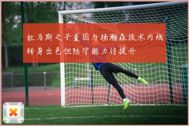 杜马斯之子奎因与杨瀚森技术内线转身出色但防守能力待提升